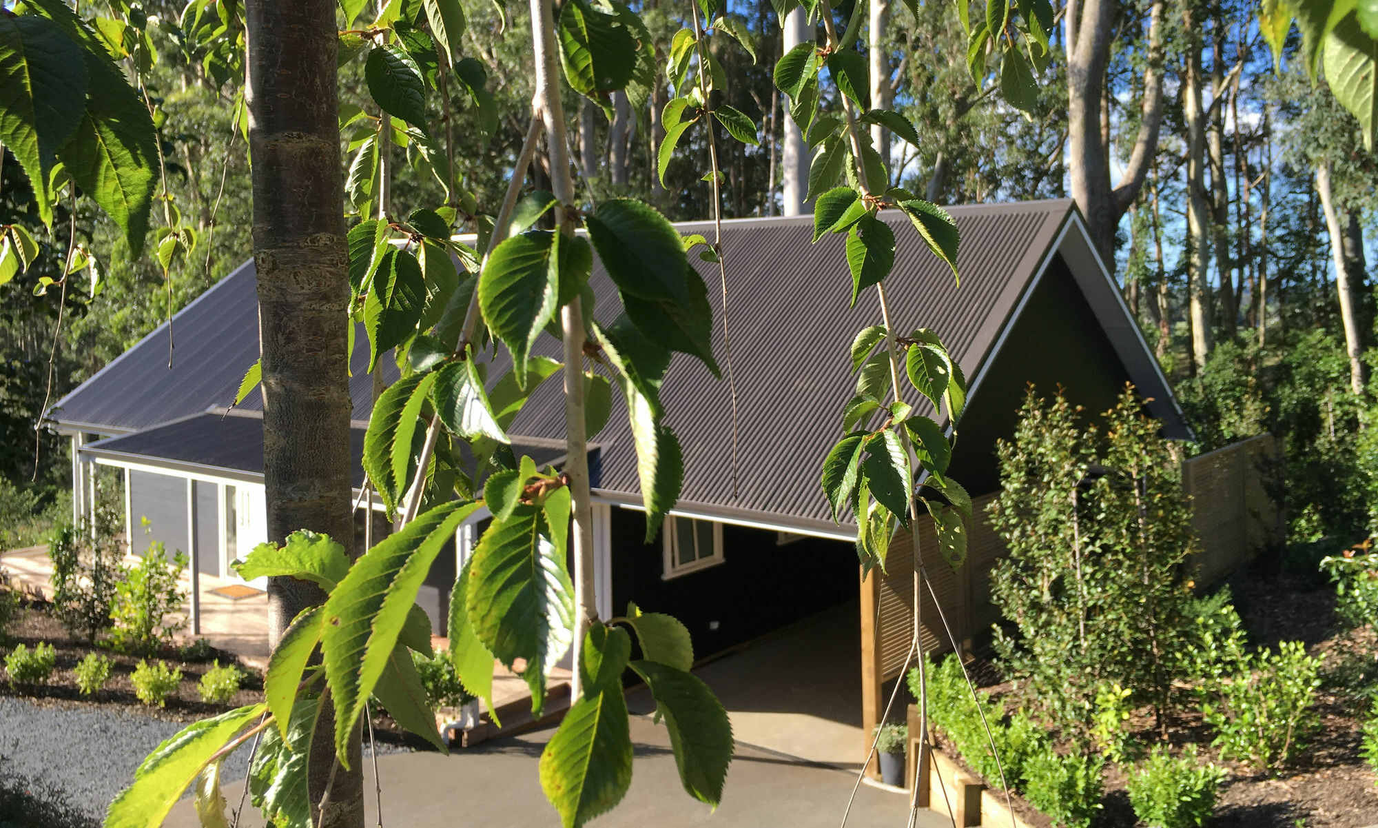 Treghan Luxury Lodge Kerikeri Esterno foto